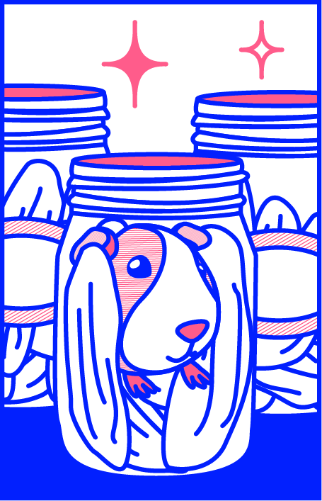 guinea pig peeking out of jar of pickle